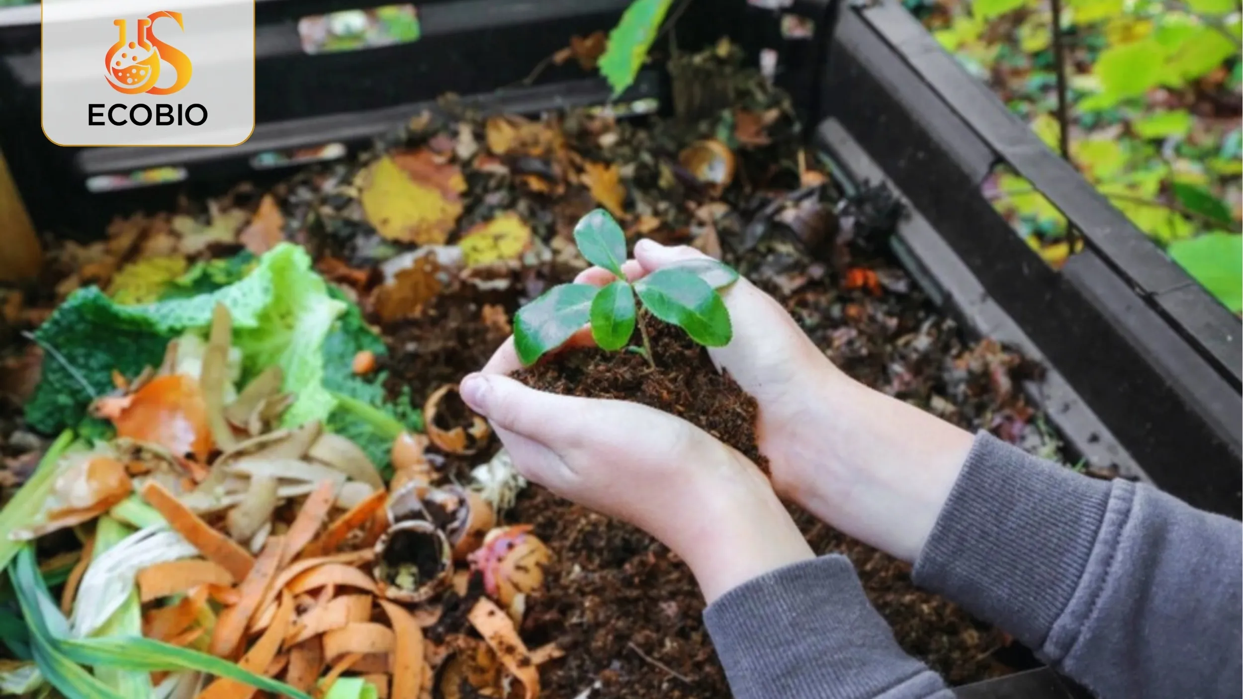 Hướng Dẫn Bón Phân Hữu Cơ Sinh Học Đúng Cách Cho Cây Trồng 3 Phân biệt phân hữu cơ sinh học với các loại phân bón khác