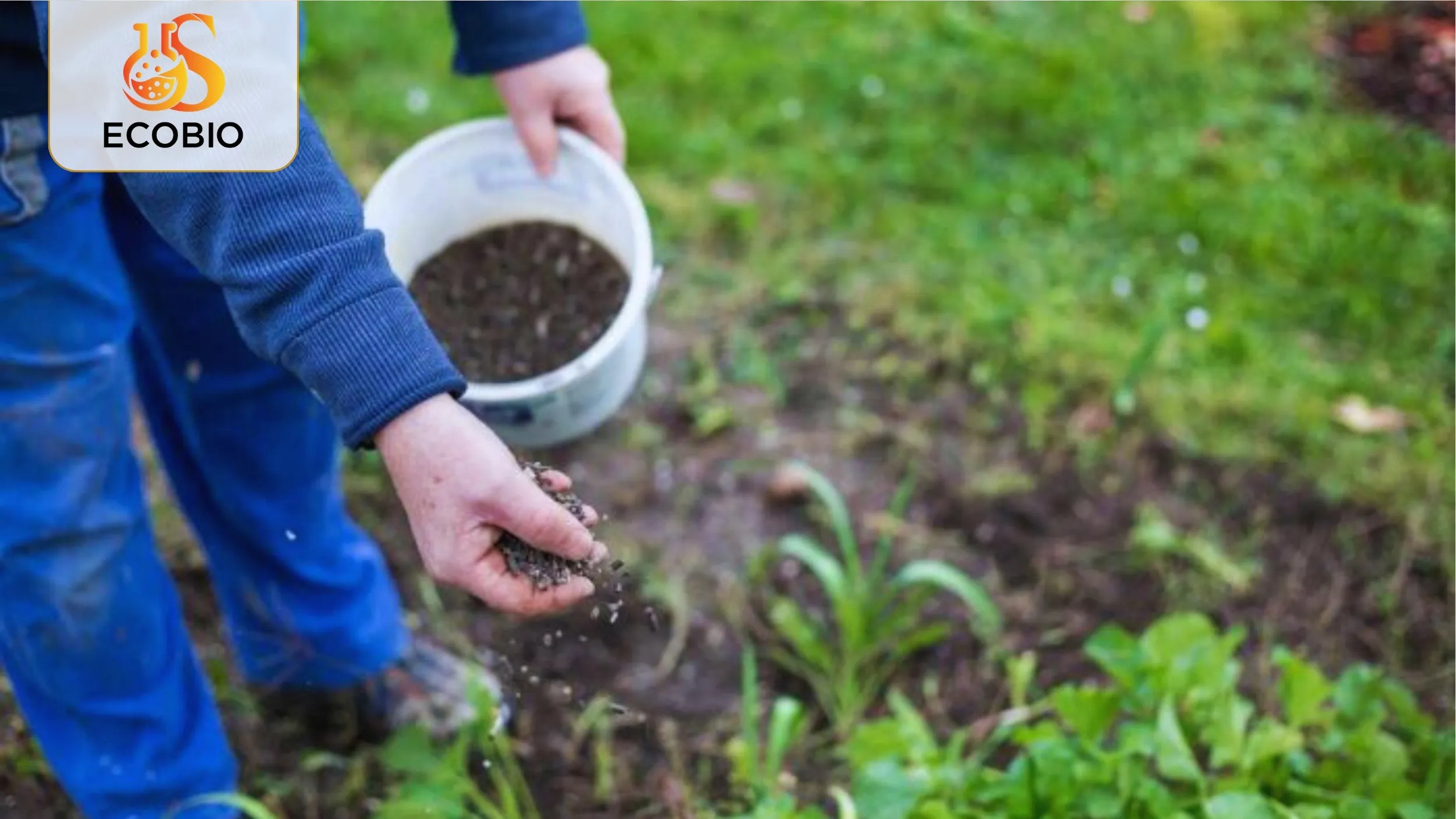 Hướng Dẫn Bón Phân Hữu Cơ Sinh Học Đúng Cách Cho Cây Trồng 2 Tầm quan trọng của việc sử dụng phân bón hữu cơ sinh học đúng cách