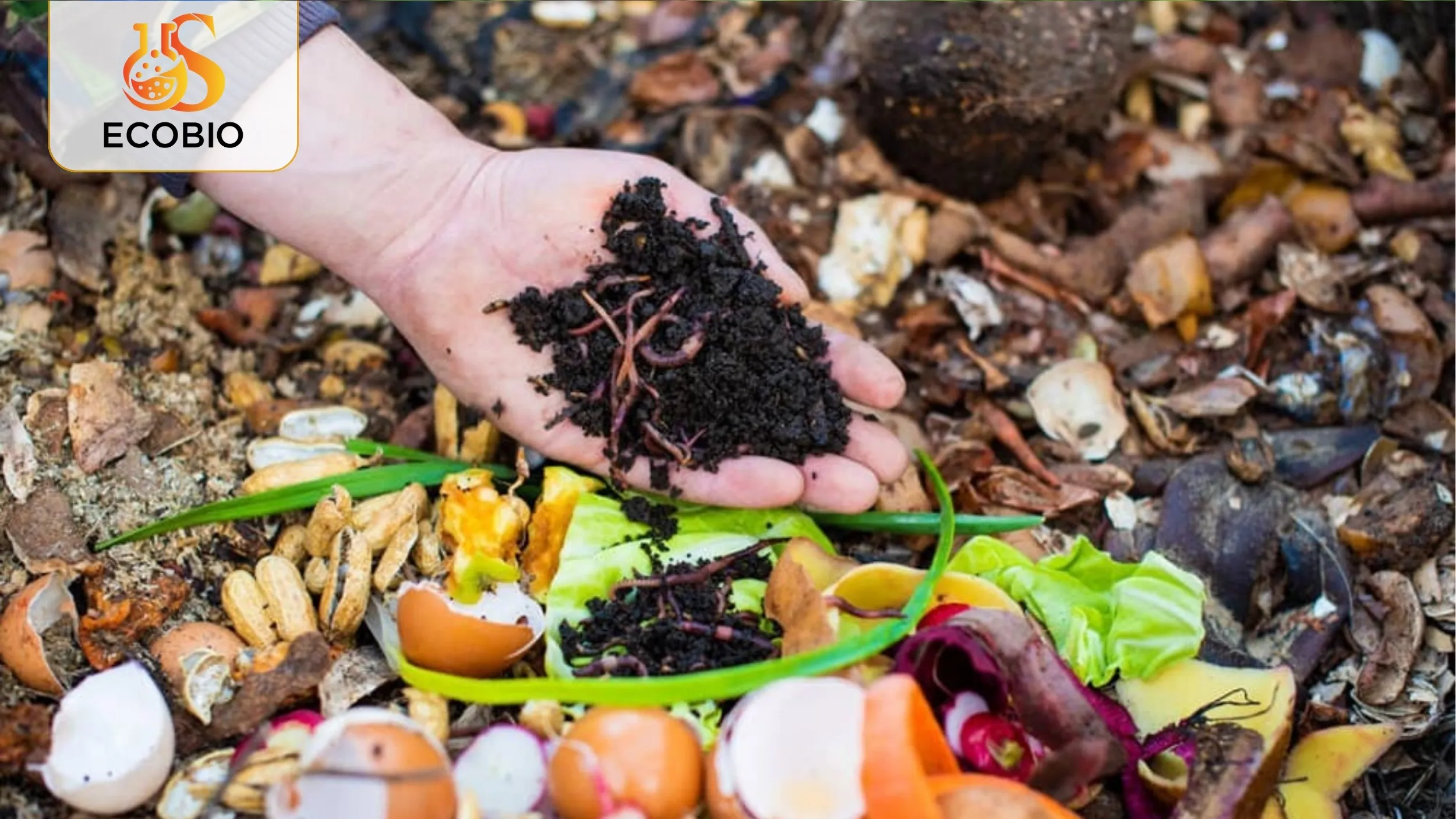 Hướng Dẫn Bón Phân Hữu Cơ Sinh Học Đúng Cách Cho Cây Trồng 4 Những lưu ý quan trọng khi sử dụng phân bón hữu cơ sinh học