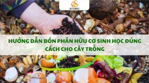 huong dan bon phan huu co sinh hoc