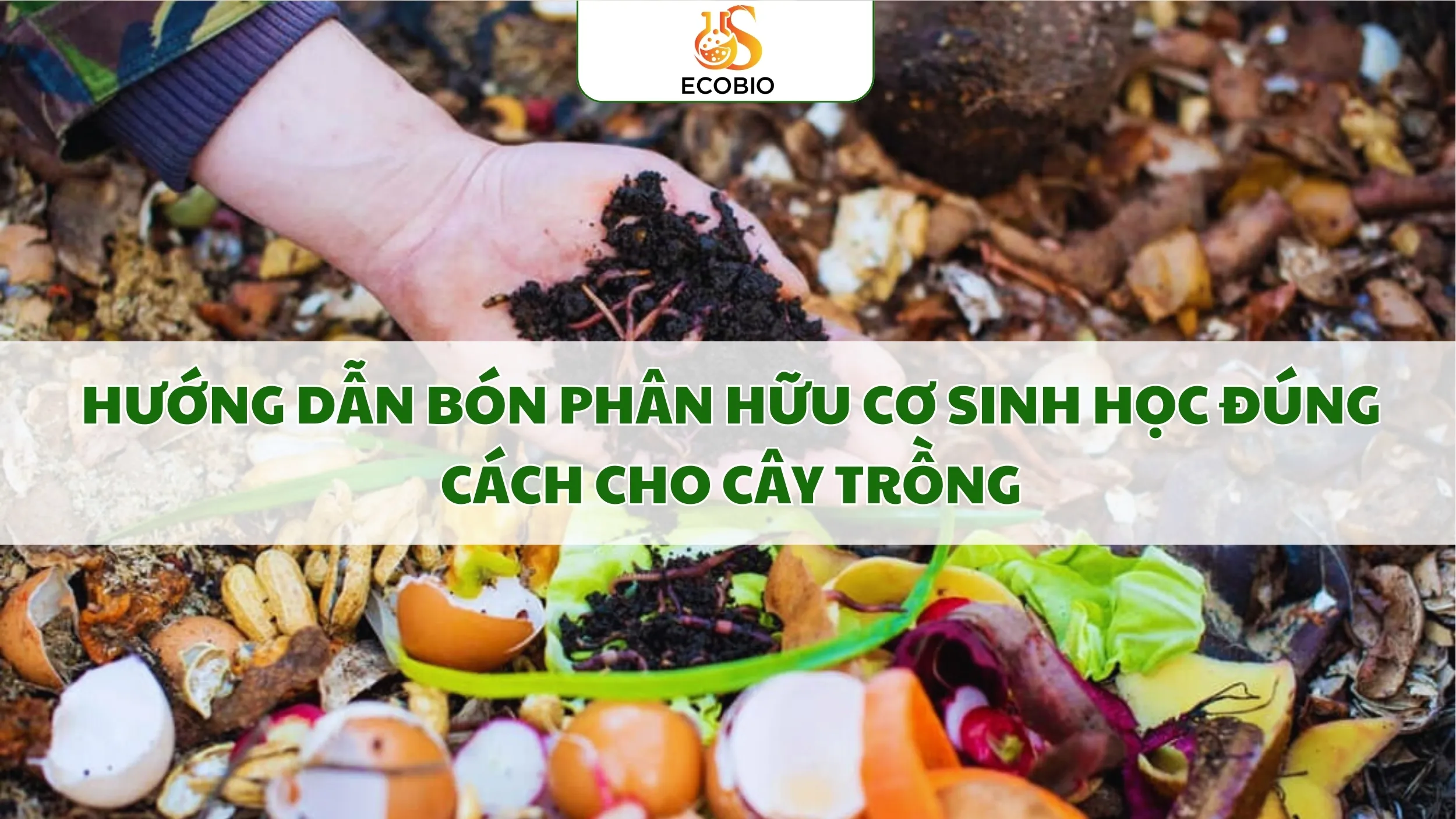 Hướng Dẫn Bón Phân Hữu Cơ Sinh Học Đúng Cách Cho Cây Trồng 1 Hướng Dẫn Bón Phân Hữu Cơ Sinh Học Đúng Cách