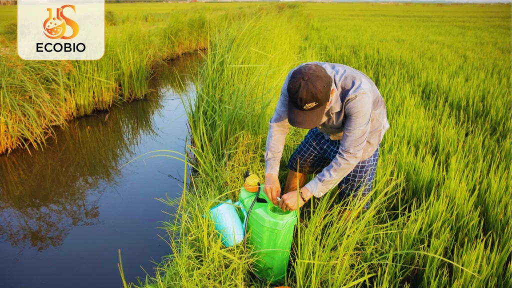 Hướng Dẫn Cách Sử Dụng Thuốc Trừ Sâu Sinh Học An Toàn, Hiệu Quả 4 Các sai lầm thường gặp và cách khắc phục