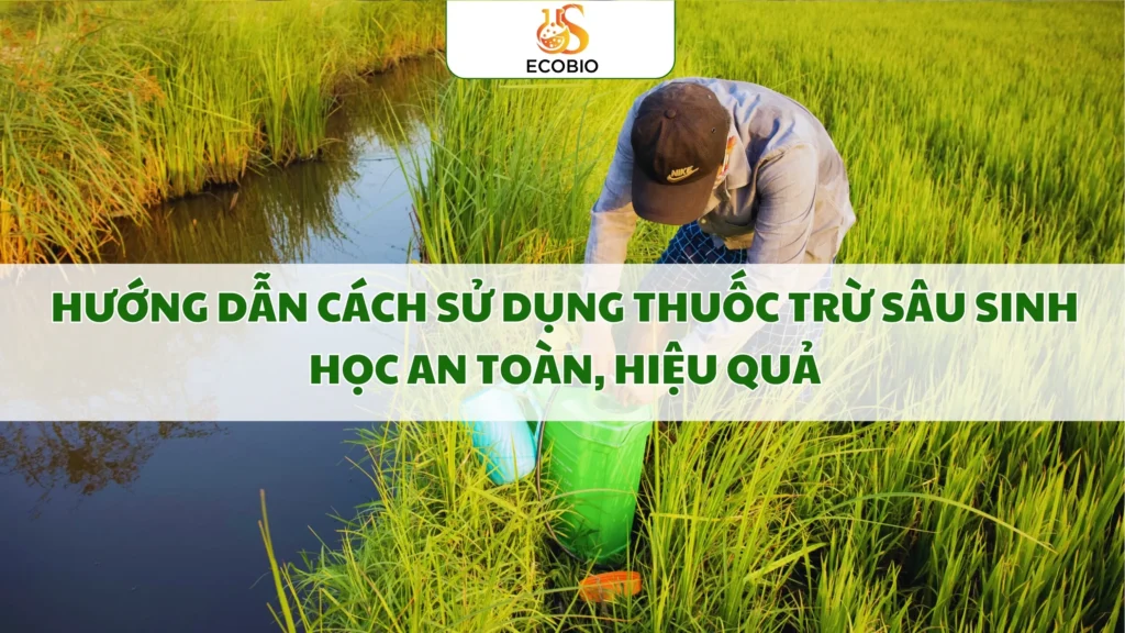 Hướng Dẫn Cách Sử Dụng Thuốc Trừ Sâu Sinh Học An Toàn, Hiệu Quả 1 Hướng Dẫn Cách Sử Dụng Thuốc Trừ Sâu Sinh Học An Toàn, Hiệu Quả