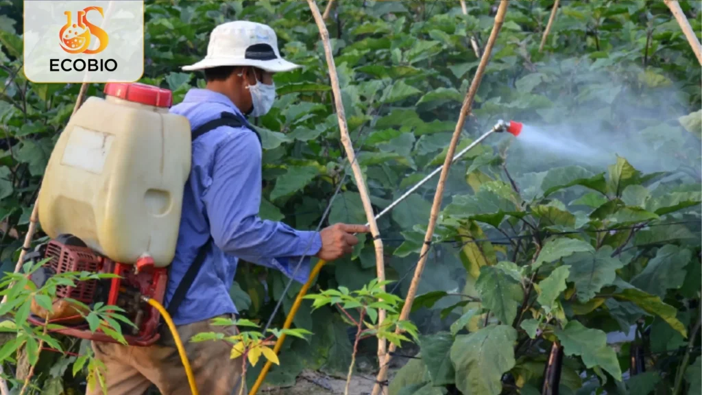 Hướng Dẫn Cách Sử Dụng Thuốc Trừ Sâu Sinh Học An Toàn, Hiệu Quả 2 Tổng quan về thuốc trừ sâu sinh học