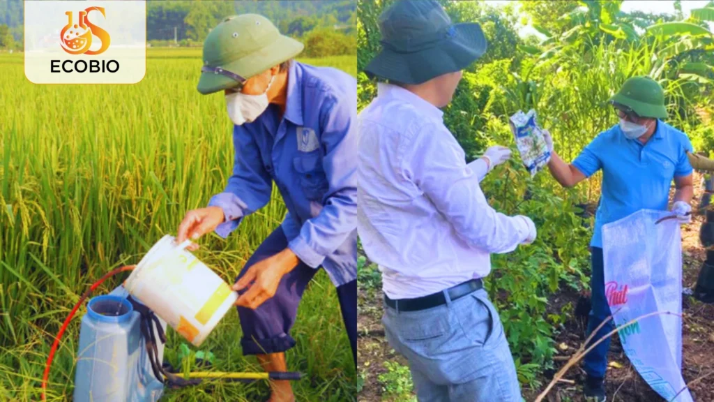 Hướng Dẫn Cách Sử Dụng Thuốc Trừ Sâu Sinh Học An Toàn, Hiệu Quả 3 Các phương pháp sử dụng thuốc trừ sâu sinh học