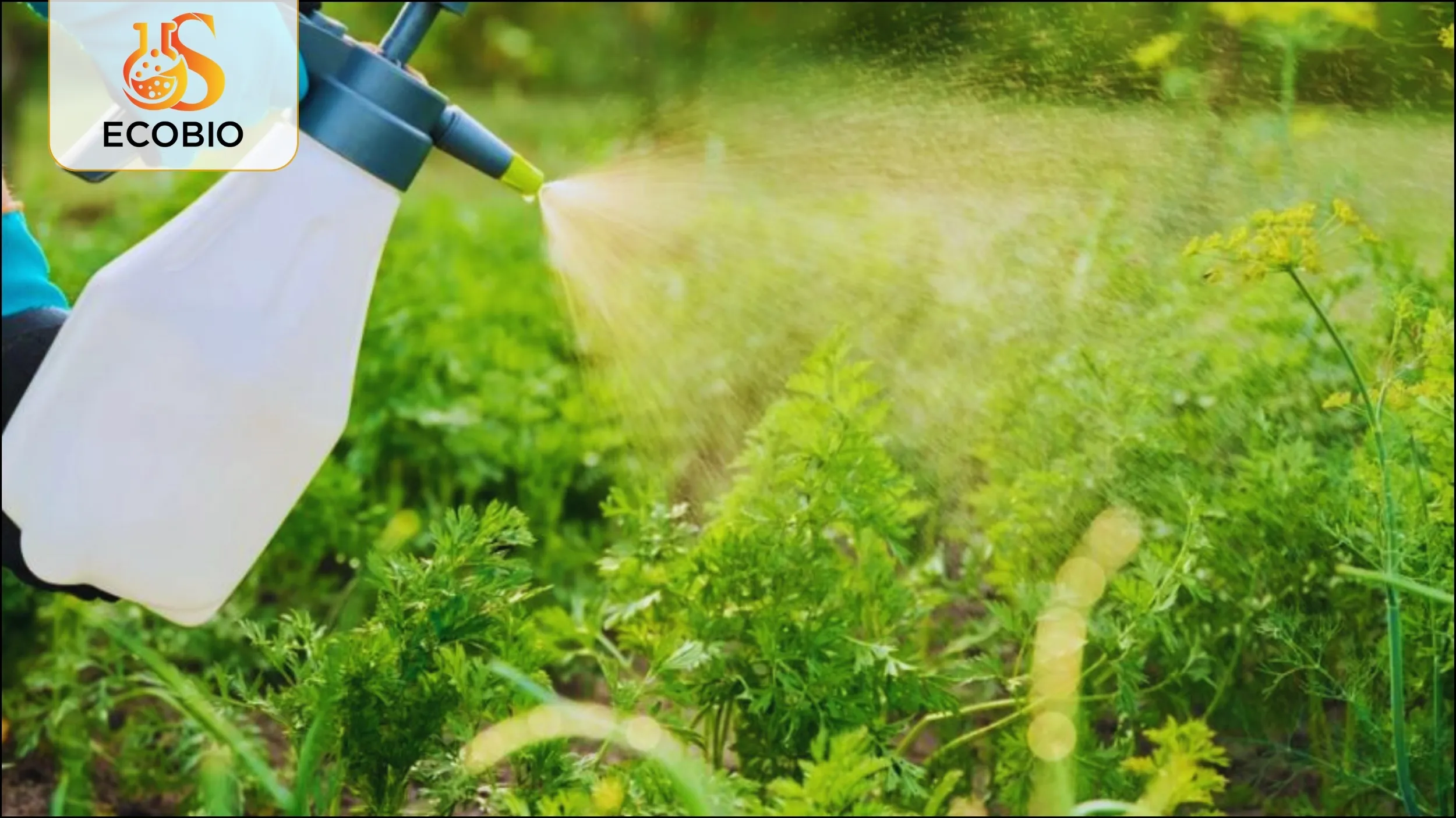 Những sai lầm phổ biến khi sử dụng thuốc BVTV