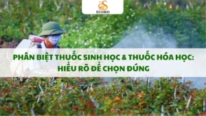 Phân biệt thuốc sinh học & thuốc hóa học