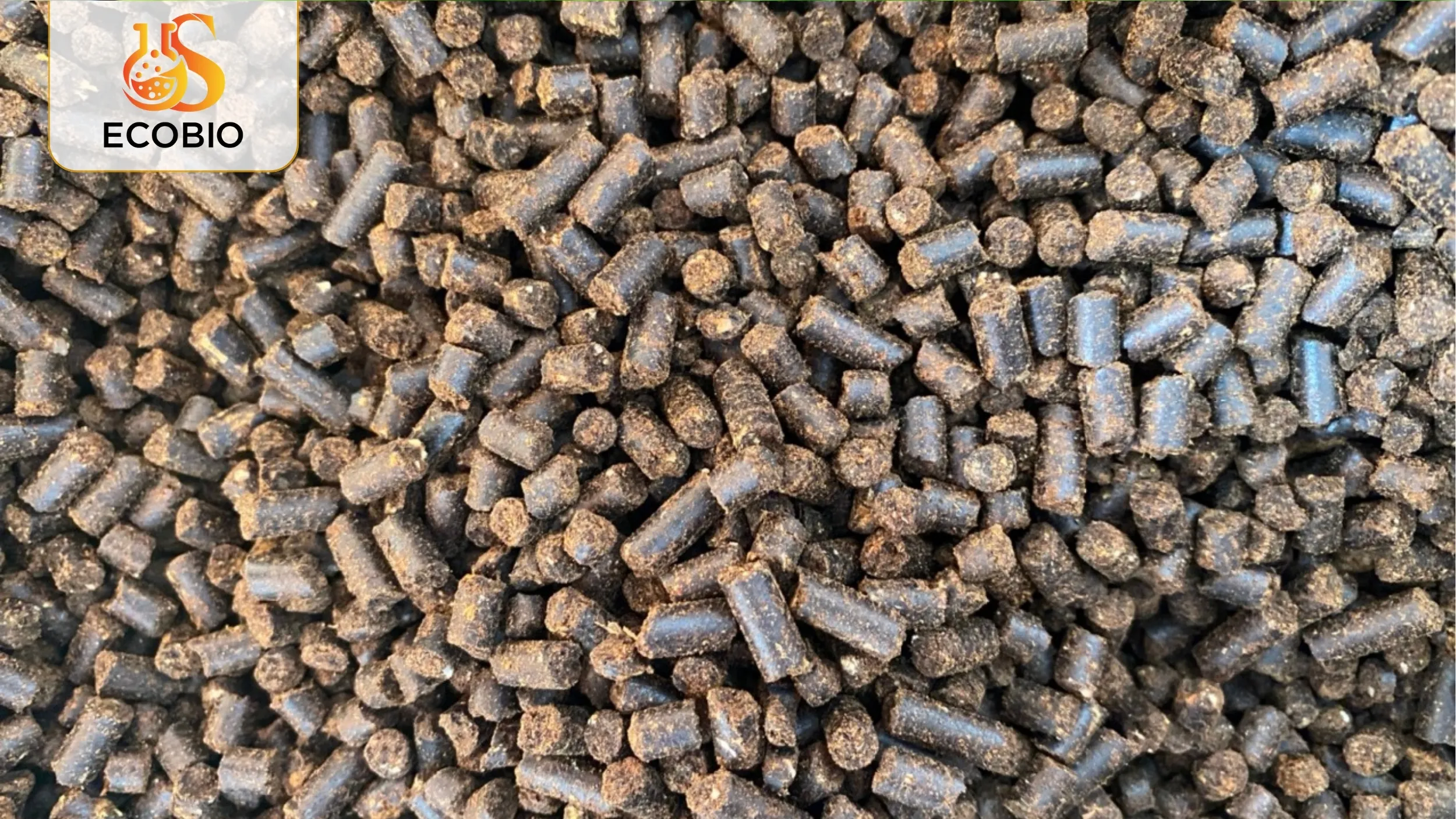 Phân Bón Hữu Cơ Hàn Quốc – Giải Pháp Nông Nghiệp Xanh, Hiệu Quả Vượt Trội 3 Lợi ích của phân bón hữu cơ Hàn Quốc đối với canh tác nông nghiệp