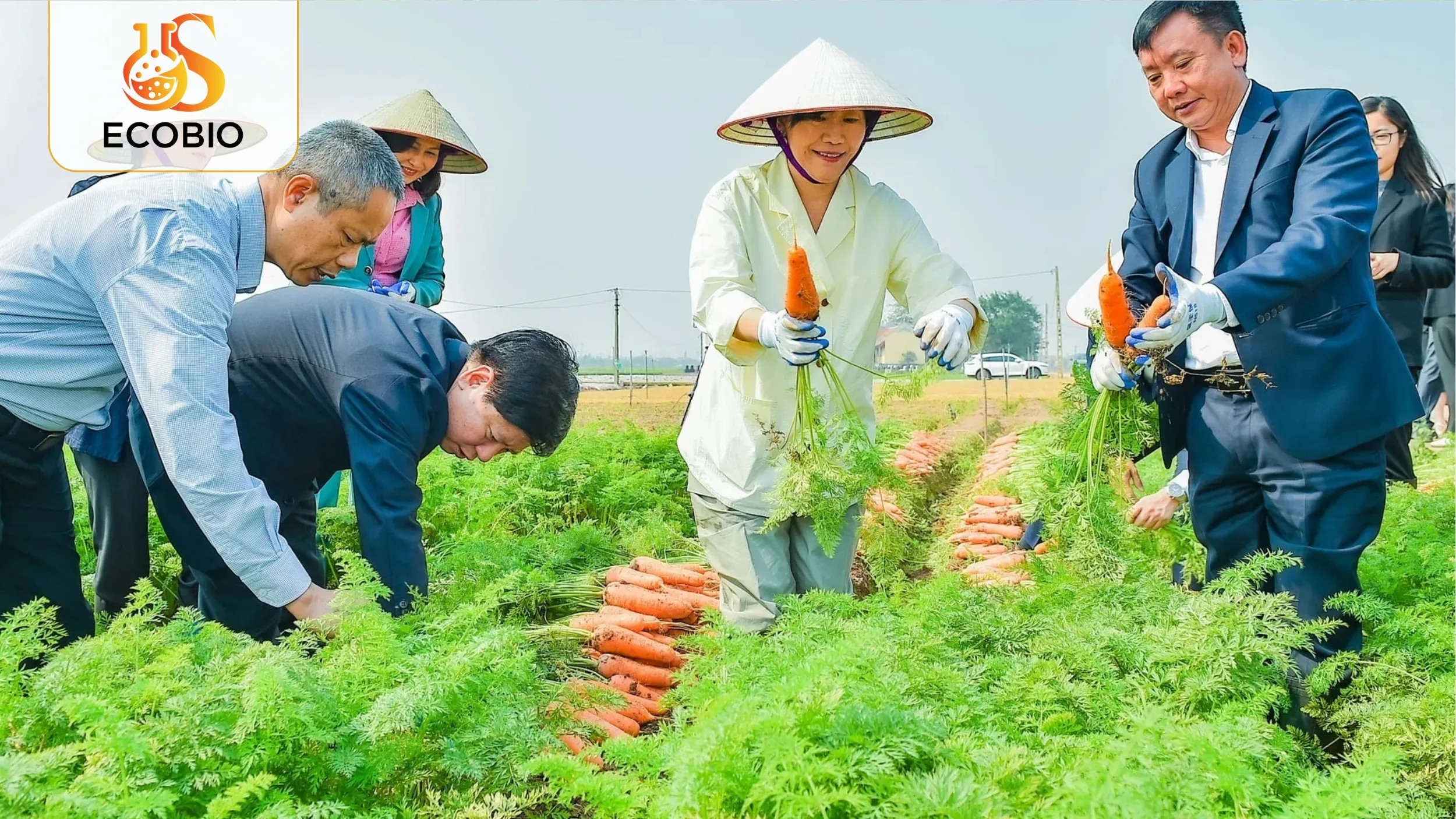 Phân Bón Hữu Cơ Hàn Quốc – Giải Pháp Nông Nghiệp Xanh, Hiệu Quả Vượt Trội 4 Hướng Dẫn Sử Dụng Phân Bón Hữu Cơ Hàn Quốc Hiệu Quả
