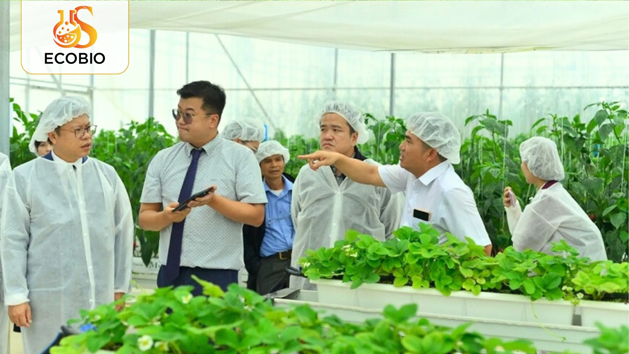 Phân Bón Hữu Cơ Hàn Quốc – Giải Pháp Nông Nghiệp Xanh, Hiệu Quả Vượt Trội 2 Đặc điểm nổi bật của phân bón hữu cơ Hàn Quốc