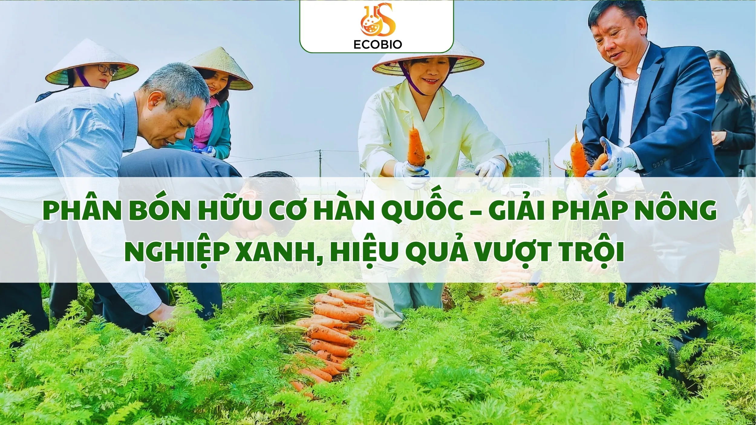 Phân Bón Hữu Cơ Hàn Quốc – Giải Pháp Nông Nghiệp Xanh, Hiệu Quả Vượt Trội 1 Phân Bón Hữu Cơ Hàn Quốc – Giải Pháp Nông Nghiệp Xanh, Hiệu Quả Vượt Trội