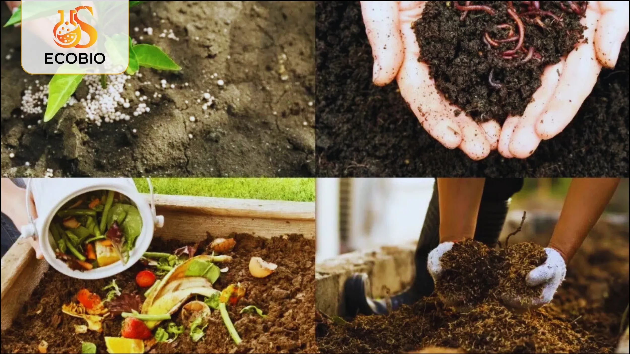 Phân Bón Hữu Cơ Vi Sinh Là Gì? Tổng Quan Và Ứng Dụng Trong Nông Nghiệp Hiện Đại 4 Ưu điểm vượt trội của công nghệ Hàn Quốc trong sản xuất phân bón