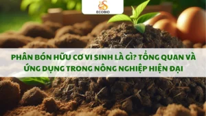 phan bon huu co vi sinh la gi
