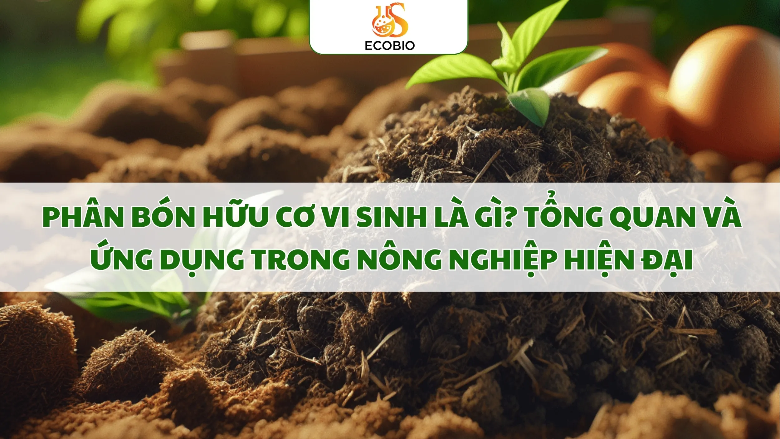 Phân Bón Hữu Cơ Vi Sinh Là Gì? Tổng Quan Và Ứng Dụng Trong Nông Nghiệp Hiện Đại 1 Phân Bón Hữu Cơ Vi Sinh Là Gì?