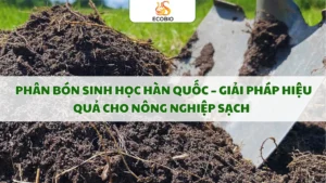 Phân Bón Sinh Học Hàn Quốc – Giải Pháp Hiệu Quả Cho Nông Nghiệp Sạch