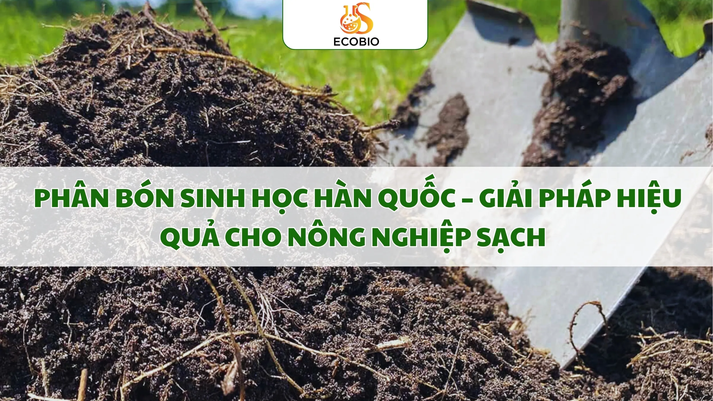 Phân Bón Sinh Học Hàn Quốc – Giải Pháp Hiệu Quả Cho Nông Nghiệp Sạch 1 Phân Bón Sinh Học Hàn Quốc – Giải Pháp Hiệu Quả Cho Nông Nghiệp Sạch