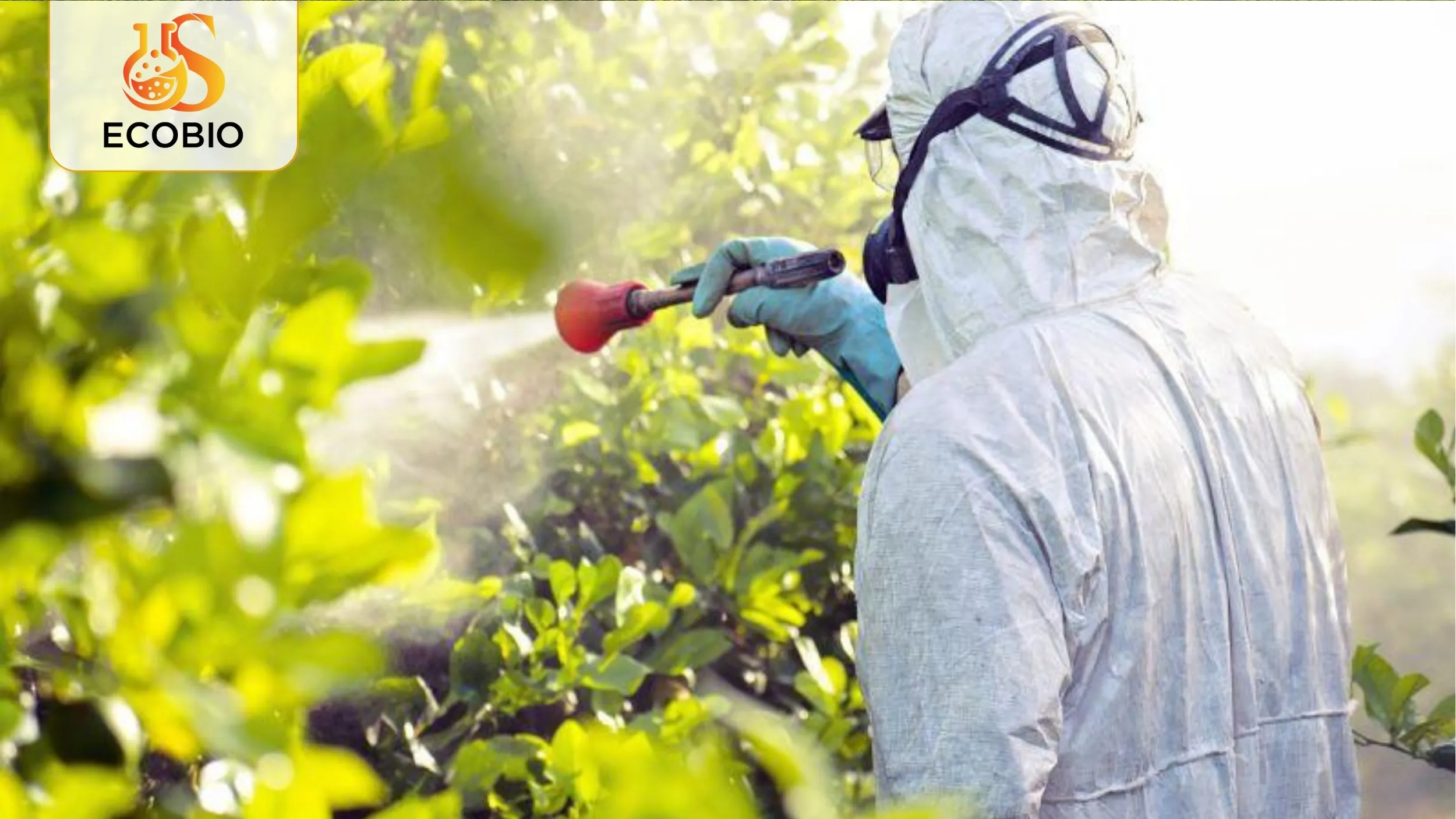 So Sánh Thuốc Sinh Học Và Thuốc Hóa Học: Ưu Nhược Điểm & Lựa Chọn Tối Ưu 3 Ưu và nhược điểm của từng loại thuốc BVTV