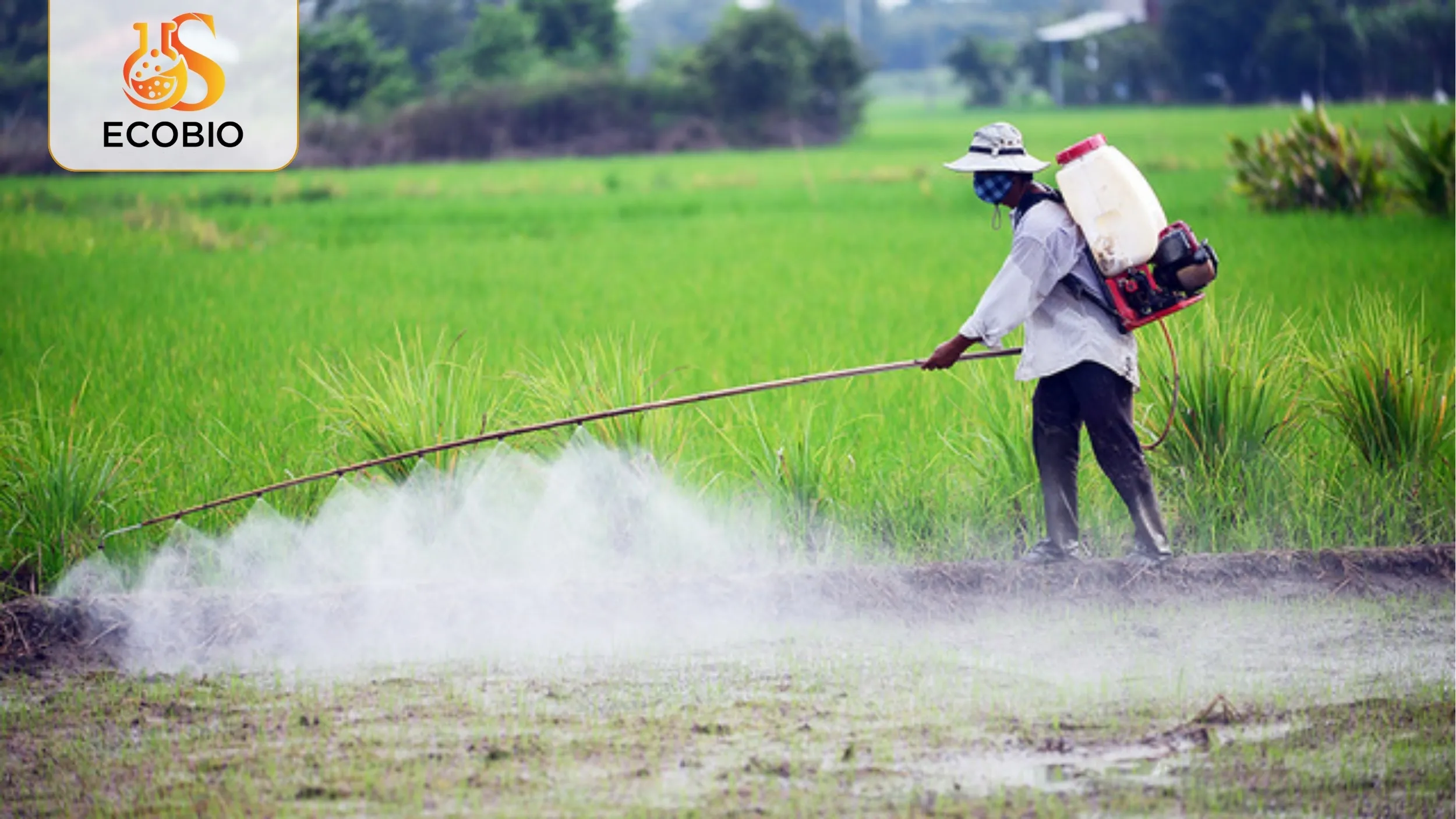 So Sánh Thuốc Sinh Học Và Thuốc Hóa Học: Ưu Nhược Điểm & Lựa Chọn Tối Ưu 4 Lựa chọn tối ưu và khuyến nghị sử dụng