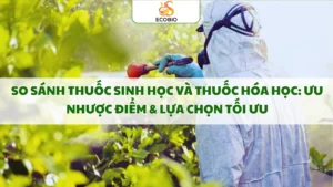 so sanh thuoc sinh hoc va thuoc hoa hoc