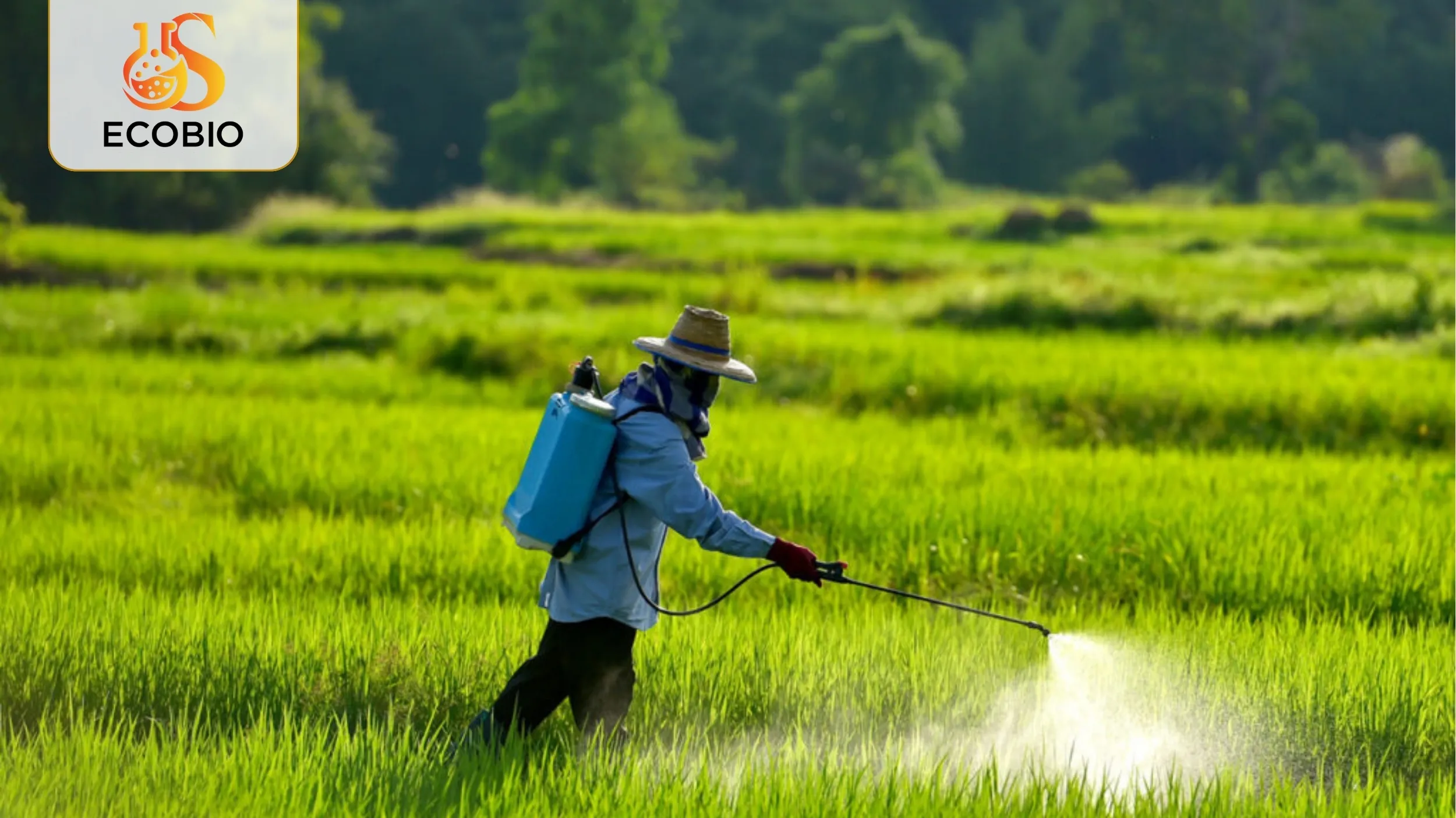 Khám Phá Tác Dụng Của Thuốc BVTV Sinh Học – Có Hiệu Quả Như Bạn Nghĩ? 3 Xu hướng sử dụng thuốc BVTV sinh học