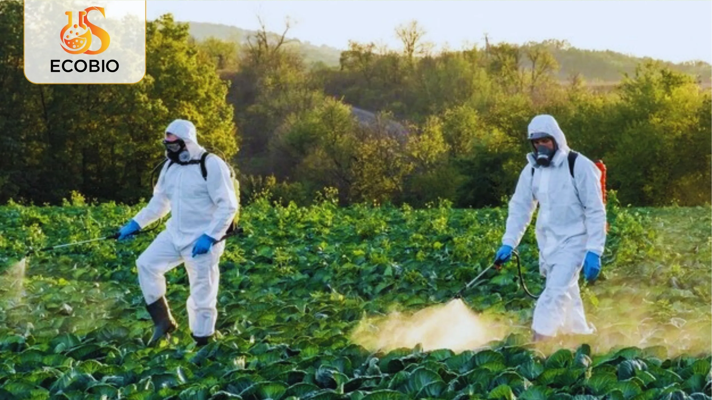 Khám Phá Tác Dụng Của Thuốc BVTV Sinh Học – Có Hiệu Quả Như Bạn Nghĩ? 2 Tác dụng của thuốc BVTV sinh học