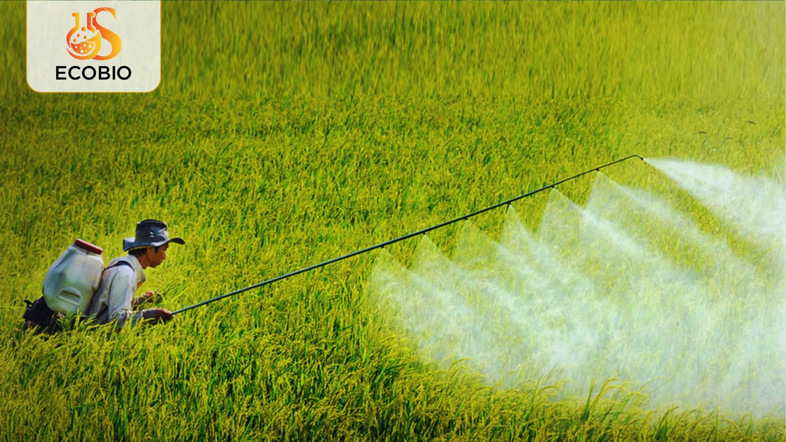 Khám Phá Tác Dụng Của Thuốc BVTV Sinh Học – Có Hiệu Quả Như Bạn Nghĩ? 4 Sai lầm thường gặp khi sử dụng thuốc BVTV sinh học