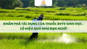 tac dung cua thuoc bvtv sinh hoc