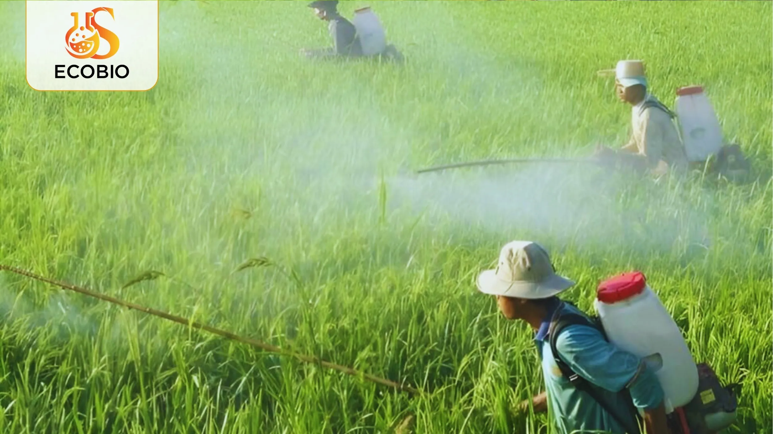 Thuốc Bảo Vệ Thực Vật Sinh Học Là Gì? Ưu Nhược Điểm & Ứng Dụng Hiện Nay 2 Thuốc bảo vệ thực vật sinh học là gì?