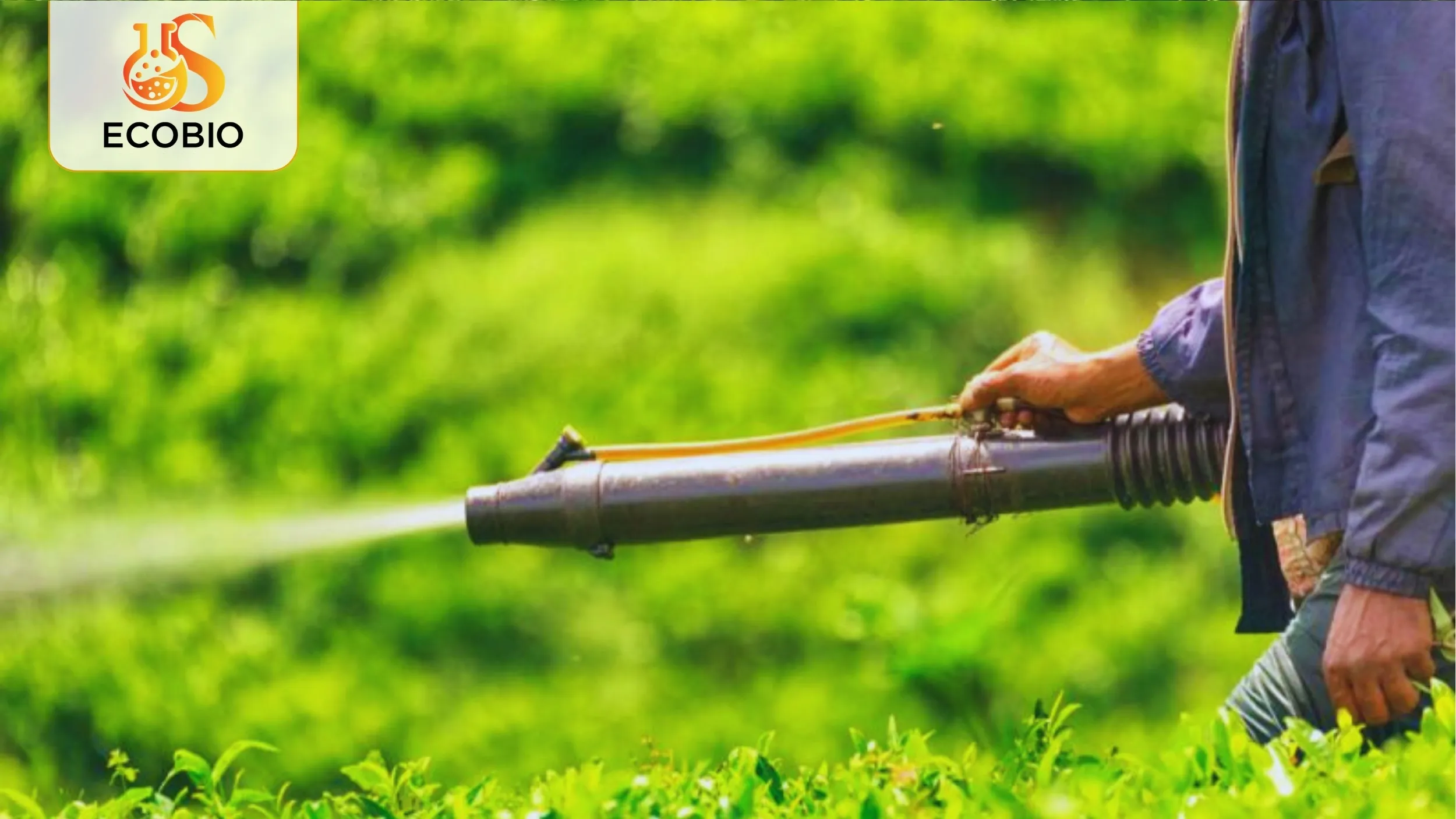 Thuốc Bảo Vệ Thực Vật Sinh Học Là Gì? Ưu Nhược Điểm & Ứng Dụng Hiện Nay 4 So sánh thuốc sinh học và thuốc hóa học: Nên chọn loại nào?