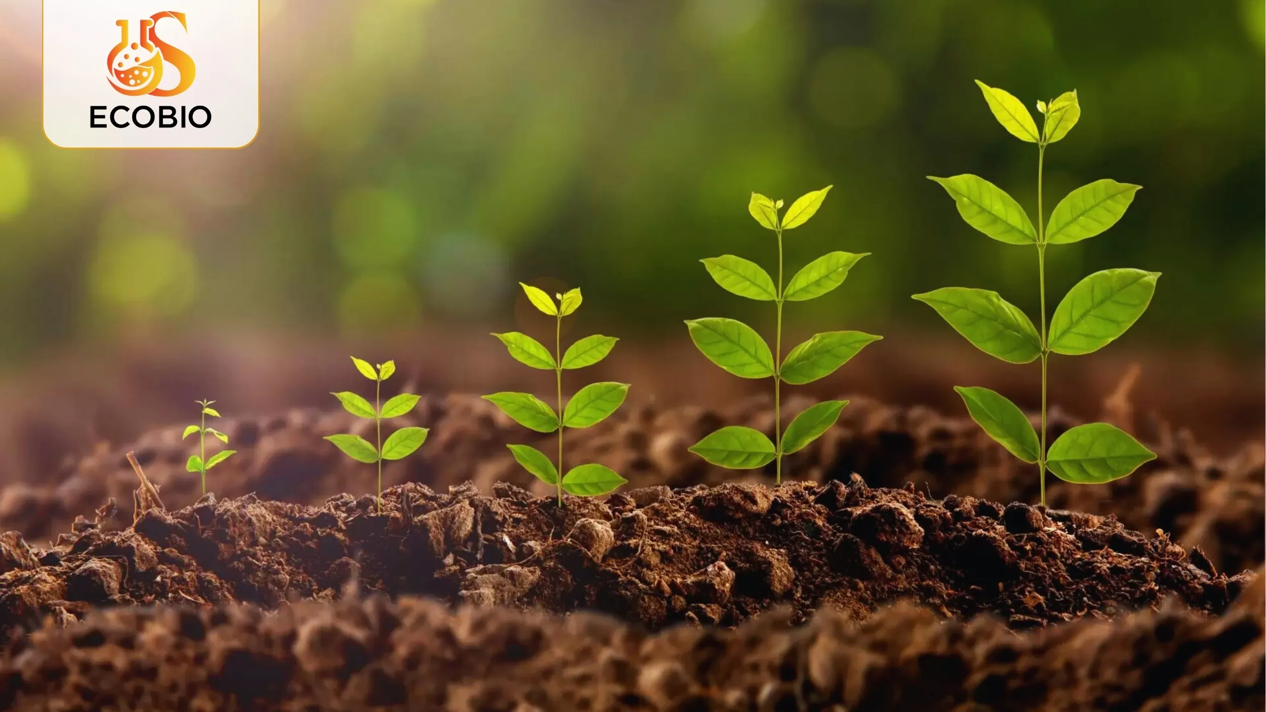 Thuốc Bảo Vệ Thực Vật Sinh Học Là Gì? Ưu Nhược Điểm & Ứng Dụng Hiện Nay 3 Ưu điểm của thuốc BVTV sinh học