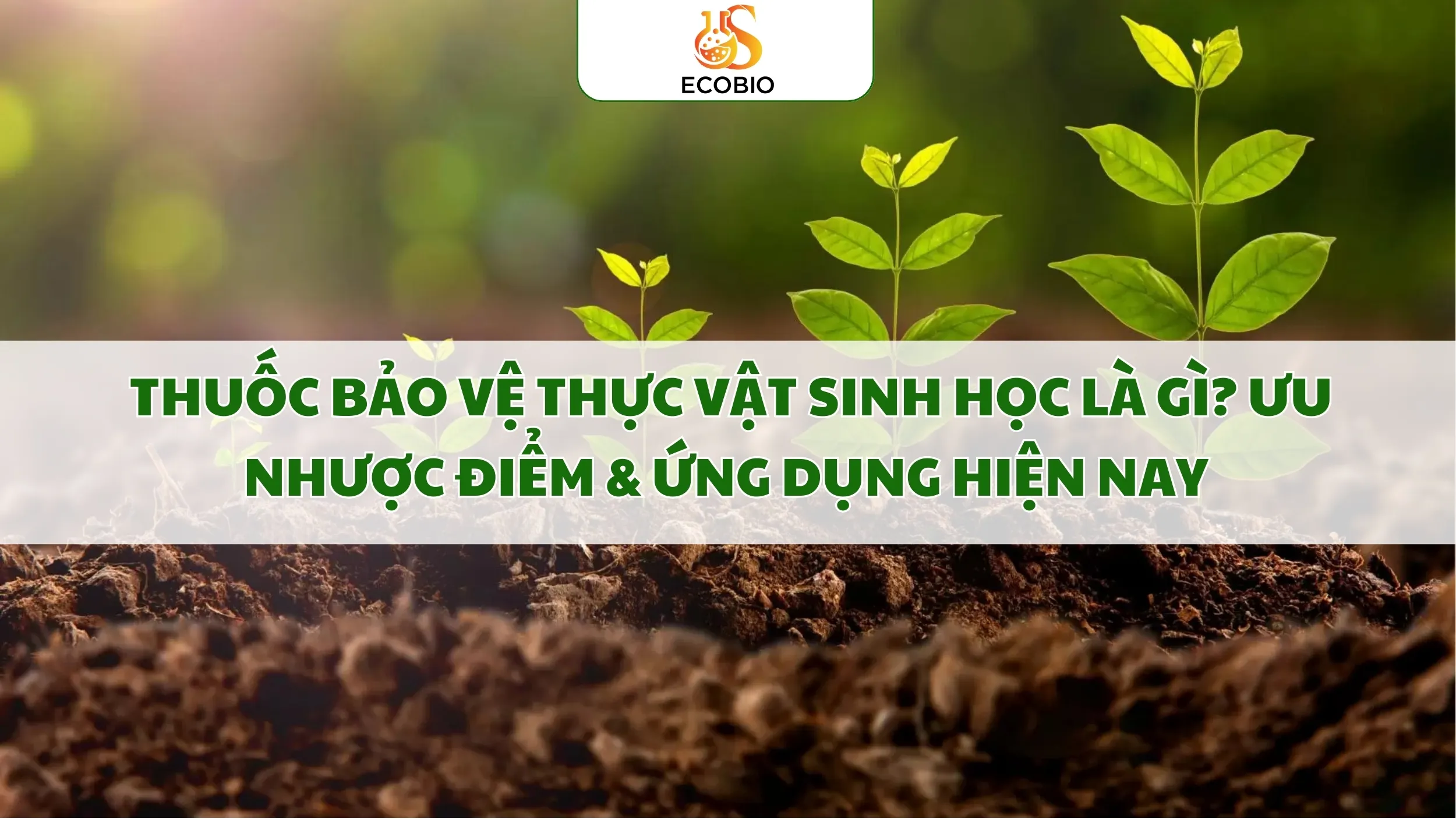 Thuốc Bảo Vệ Thực Vật Sinh Học Là Gì? Ưu Nhược Điểm & Ứng Dụng Hiện Nay 1 Thuốc Bảo Vệ Thực Vật Sinh Học Là Gì? Ưu Nhược Điểm & Ứng Dụng Hiện Nay