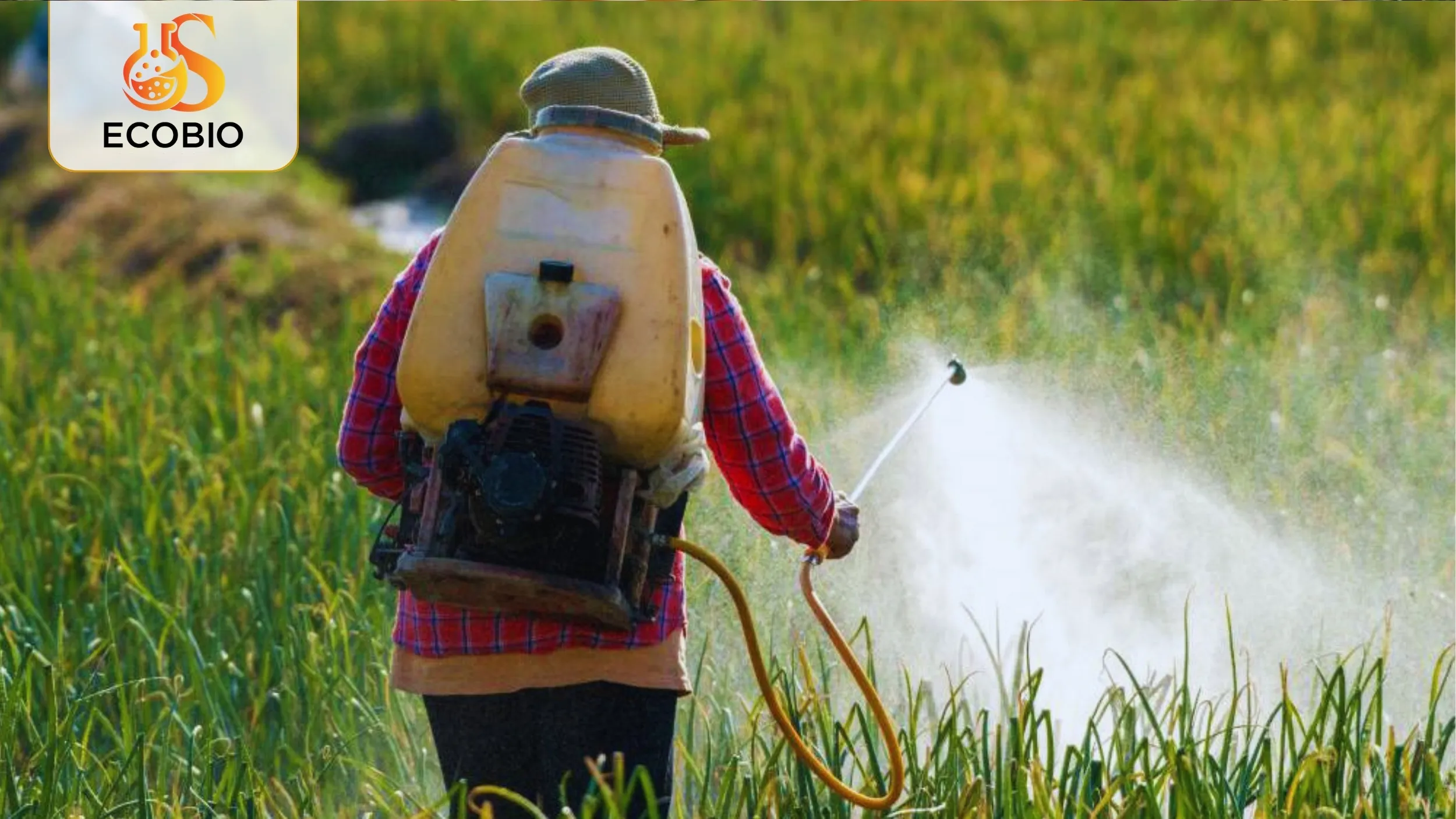 Thuốc Trừ Sâu Sinh Học Là Gì? Giải Pháp An Toàn Cho Nền Nông Nghiệp Bền Vững 3 Ưu và nhược điểm của thuốc trừ sâu sinh học