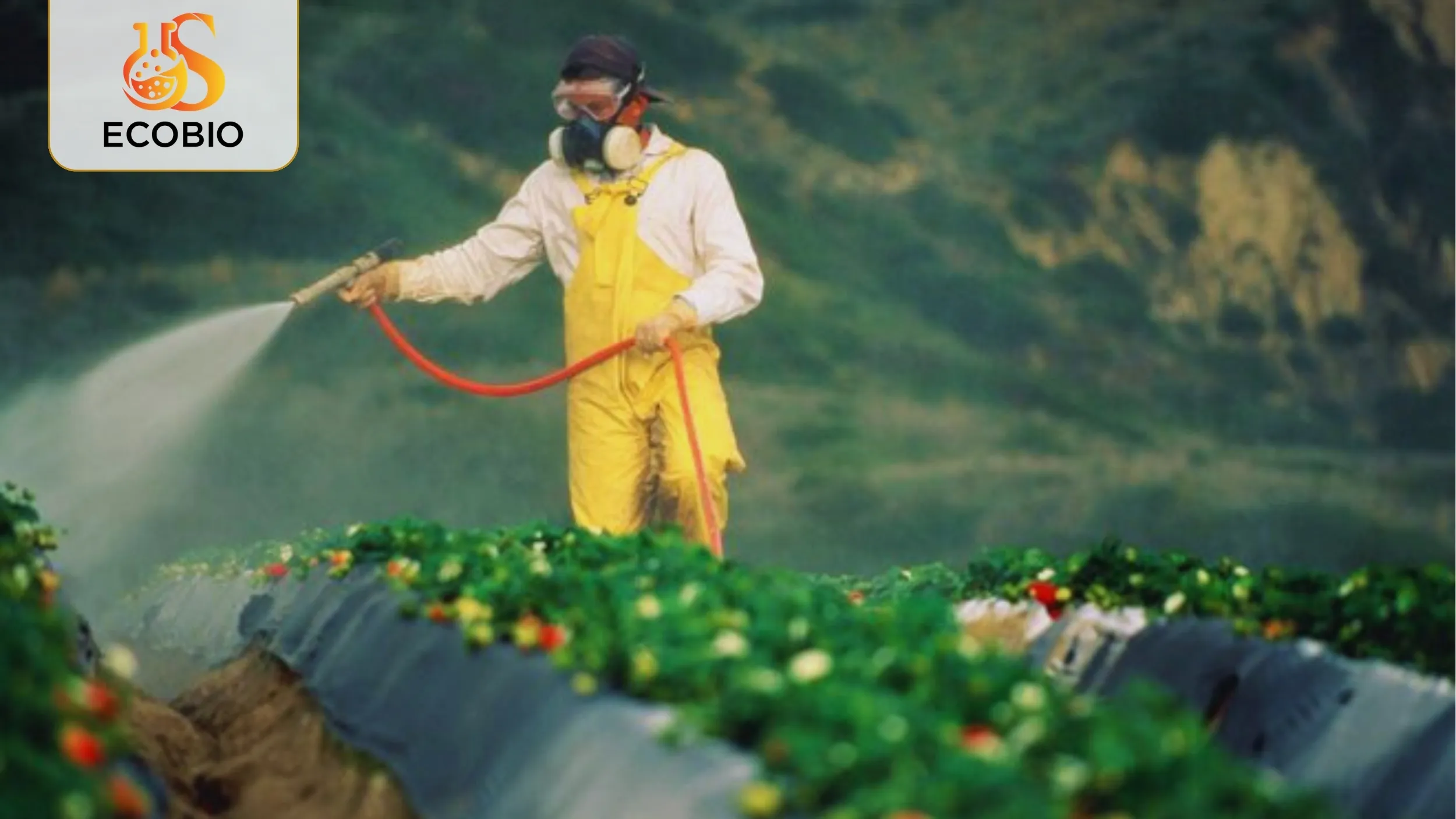 Thuốc Trừ Sâu Sinh Học Là Gì? Giải Pháp An Toàn Cho Nền Nông Nghiệp Bền Vững 2 Thuốc trừ sâu sinh học là gì?