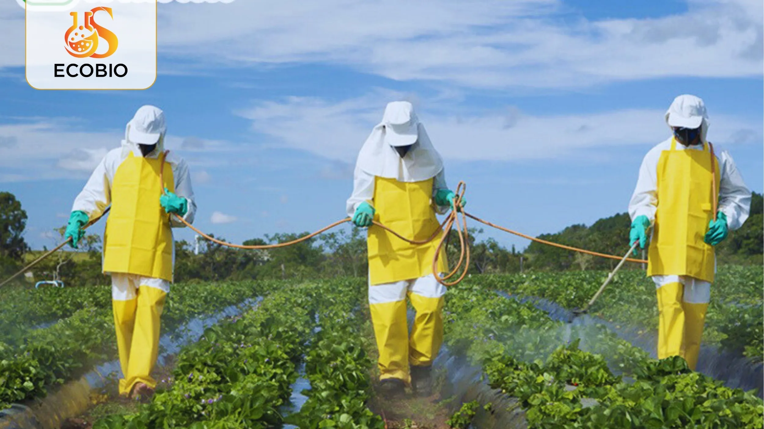 Thuốc Trừ Sâu Sinh Học Là Gì? Giải Pháp An Toàn Cho Nền Nông Nghiệp Bền Vững 4 Hướng dẫn sử dụng thuốc trừ sâu sinh học