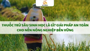 thuoc tru sau sinh hoc la gi