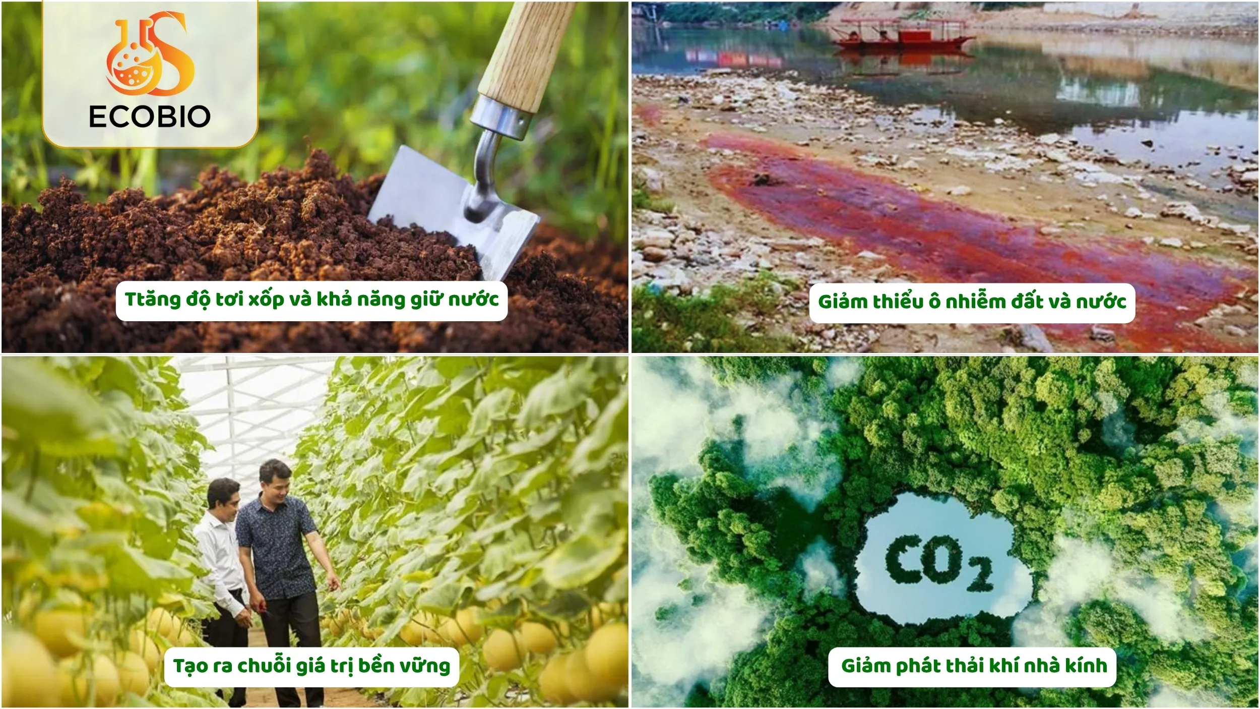 Vai Trò Của Nguyên Liệu Hữu Cơ Sinh Học