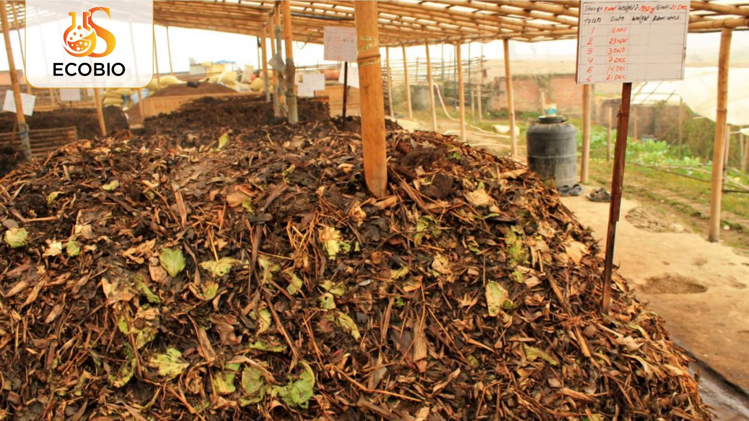 Nguyên Liệu Hữu Cơ Vi Sinh Là Gì?