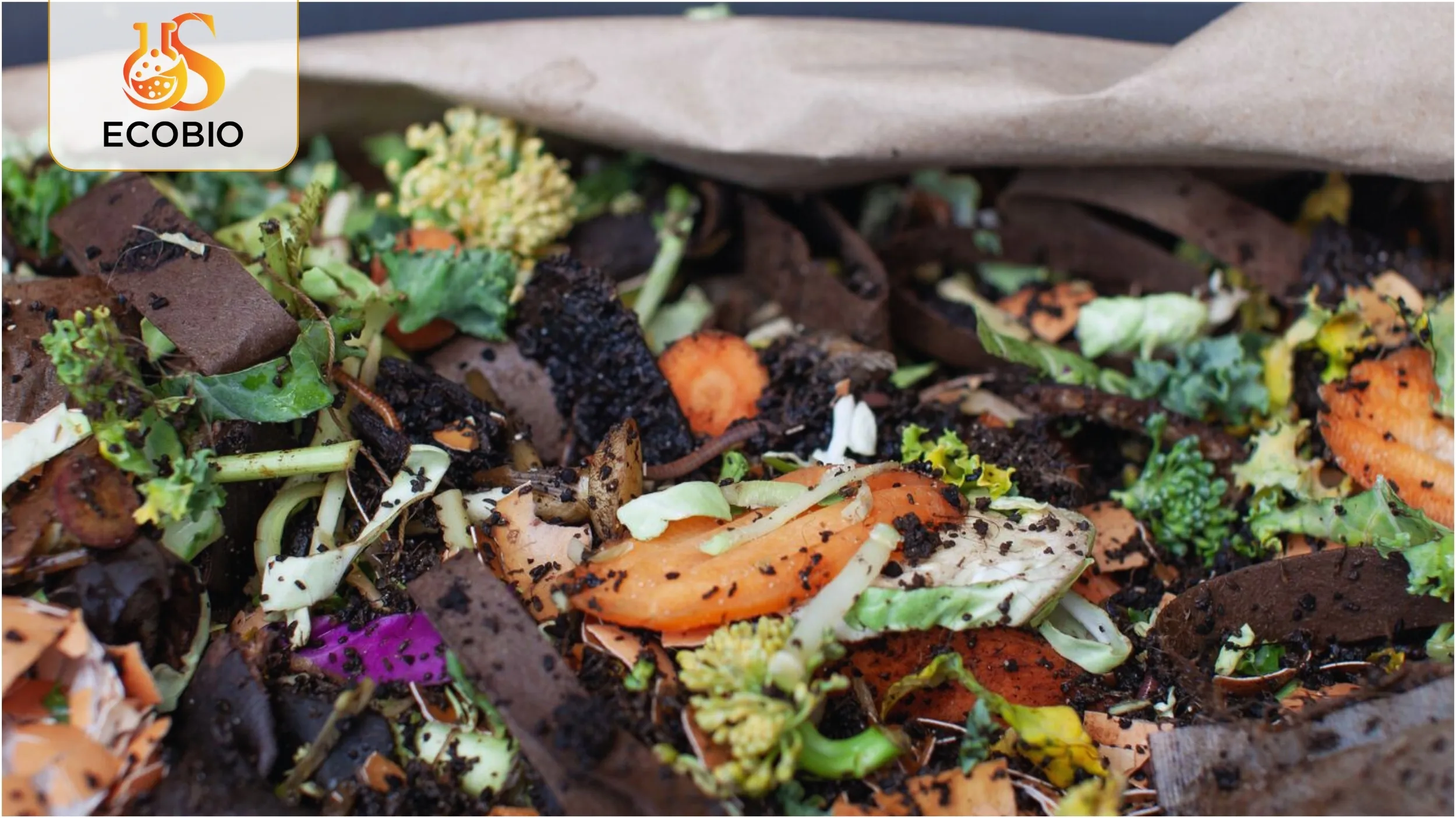 Lợi Ích Của Nguyên Liệu Hữu Cơ Vi Sinh Trong Nông Nghiệp