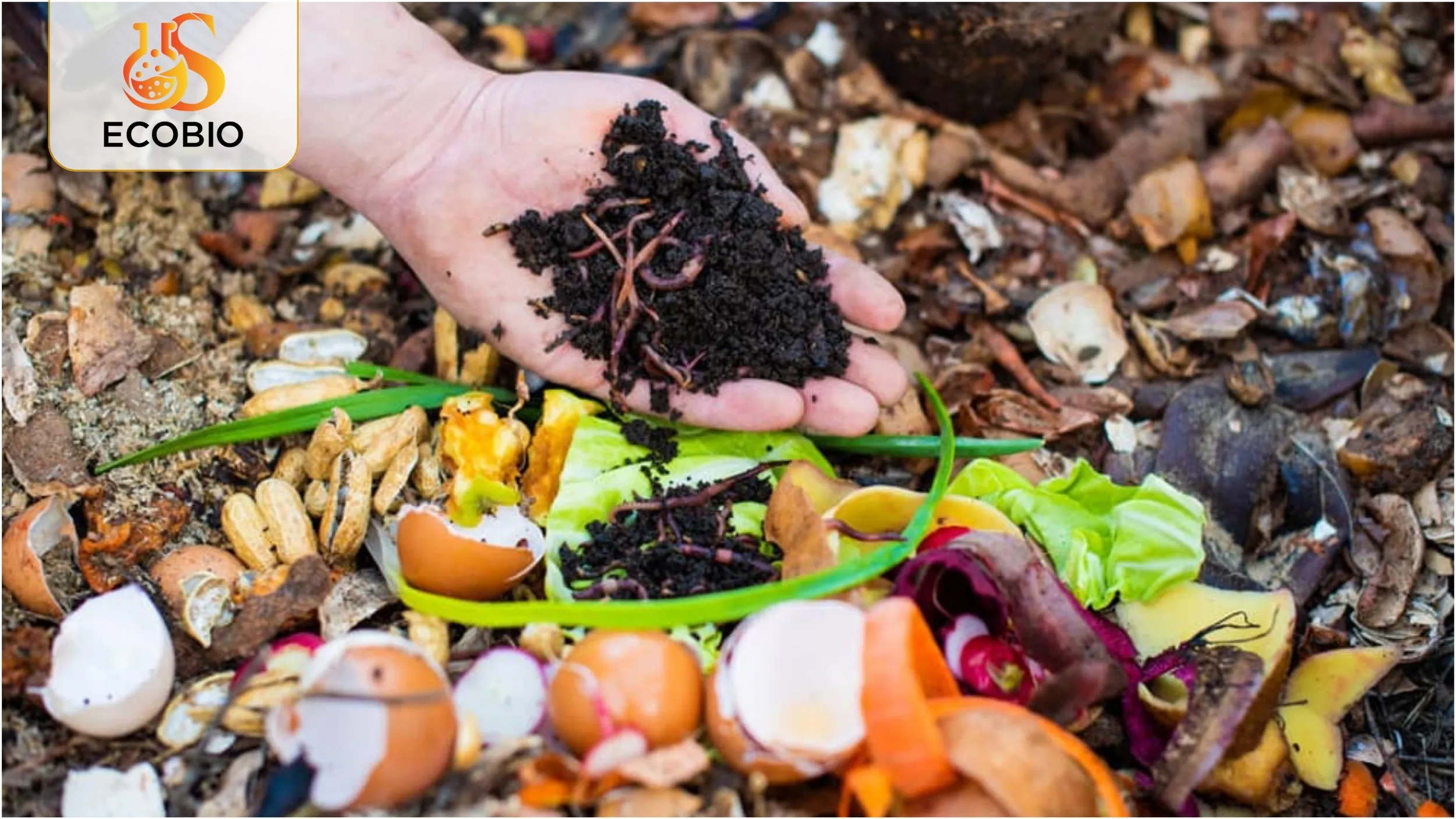 Phân Bón Gốc Hữu Cơ Là Gì?