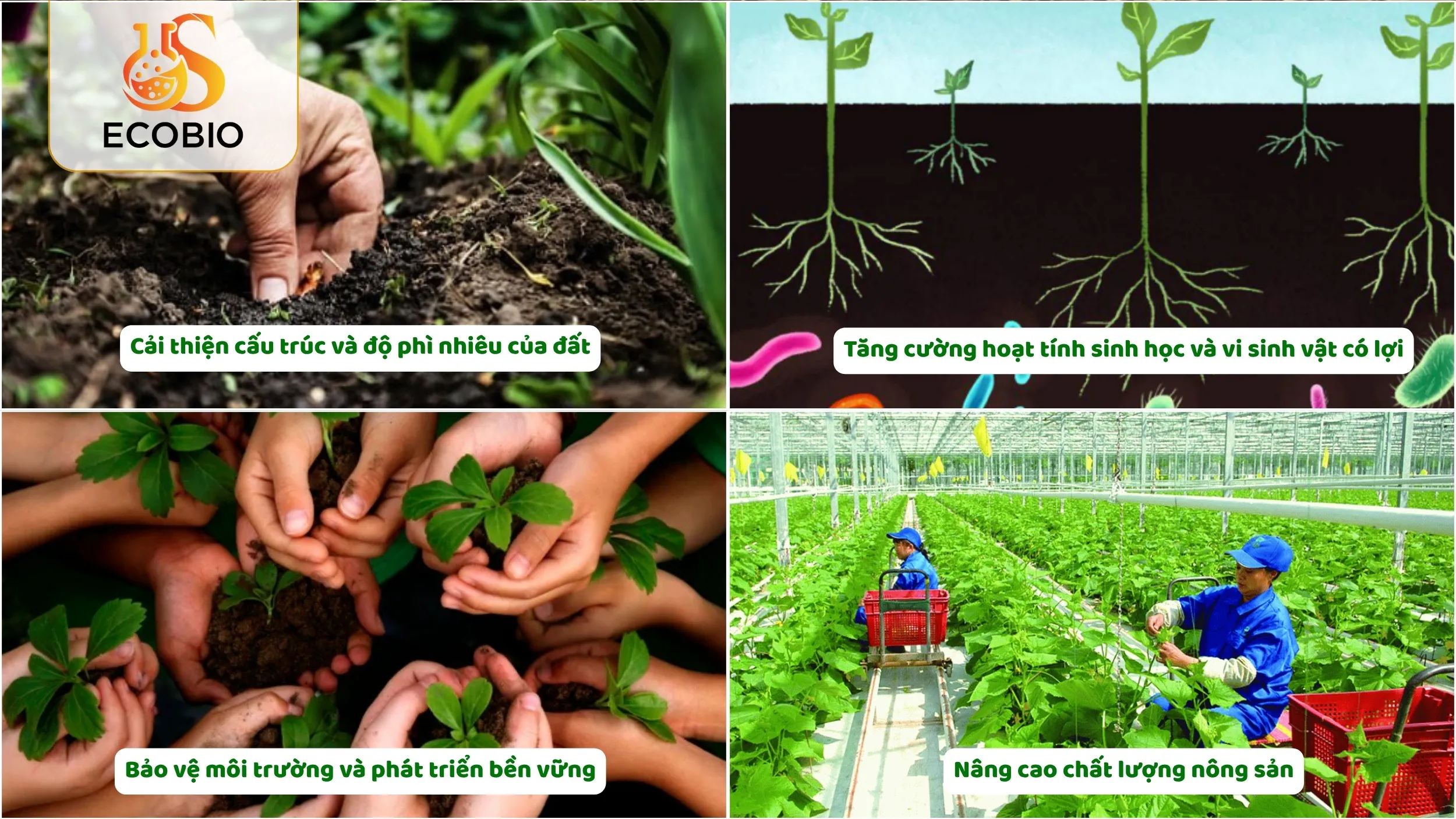 Lợi Ích Của Phân Bón Gốc Hữu Cơ Trong Nông Nghiệp