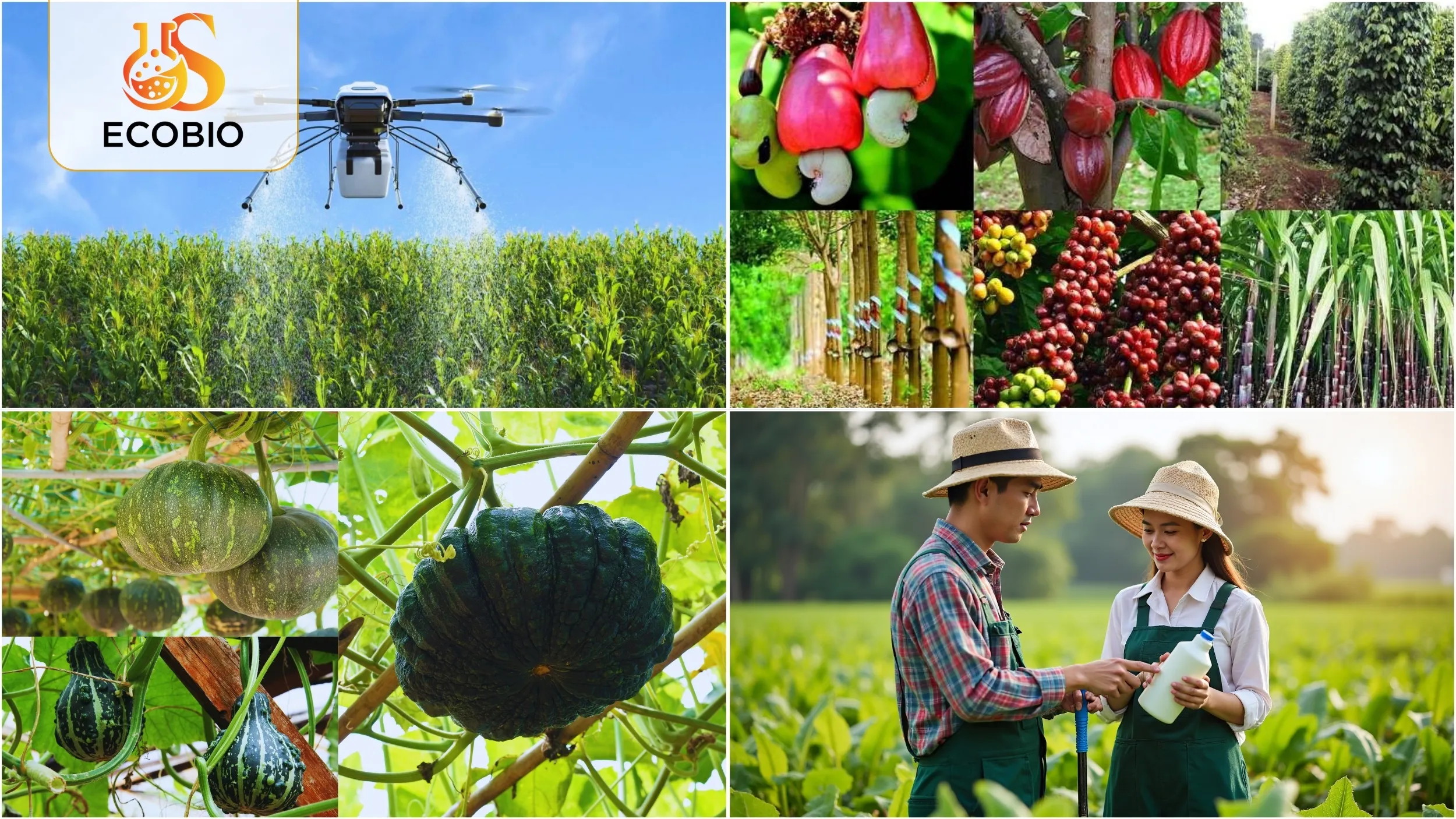 Vai Trò Của Phân Bón Lá Hữu Cơ Trong Hệ Sinh Thái Nông Nghiệp