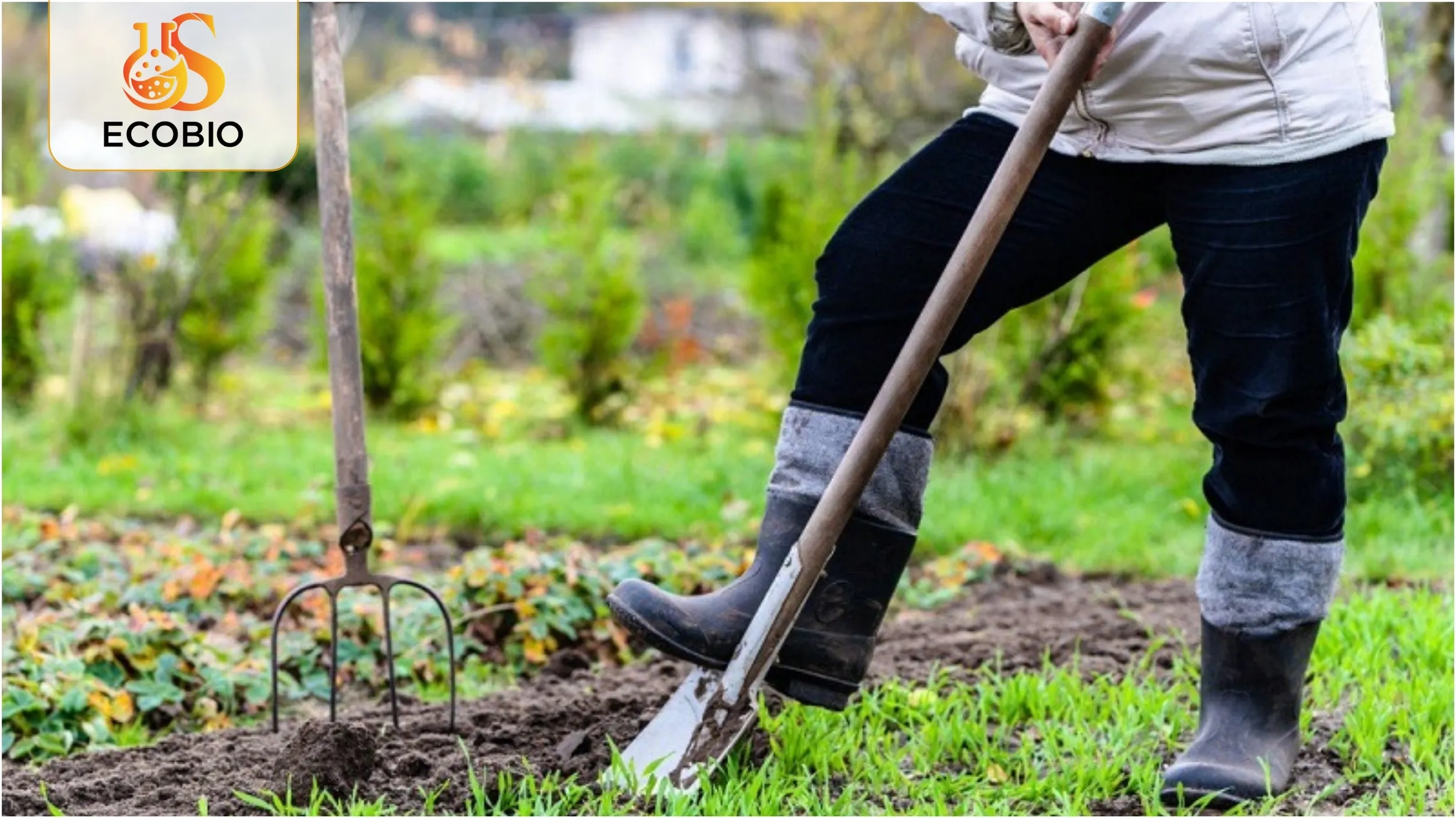 Tầm Quan Trọng Của Việc Lựa Chọn Phân Bón Lá Hữu Cơ Chất Lượng