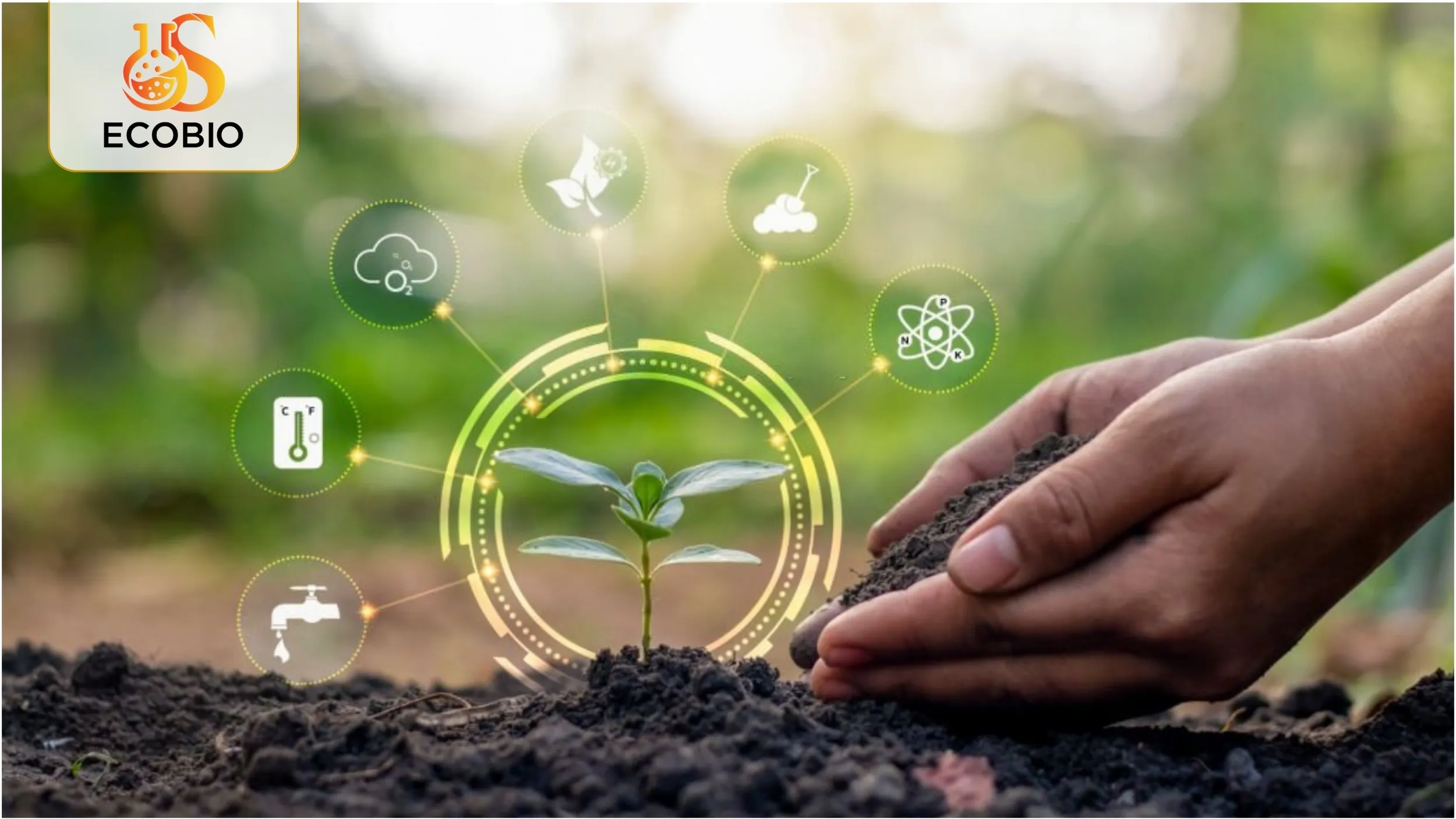 Vì sao nên chọn phân bón lá hữu cơ vi sinh Ecobio?