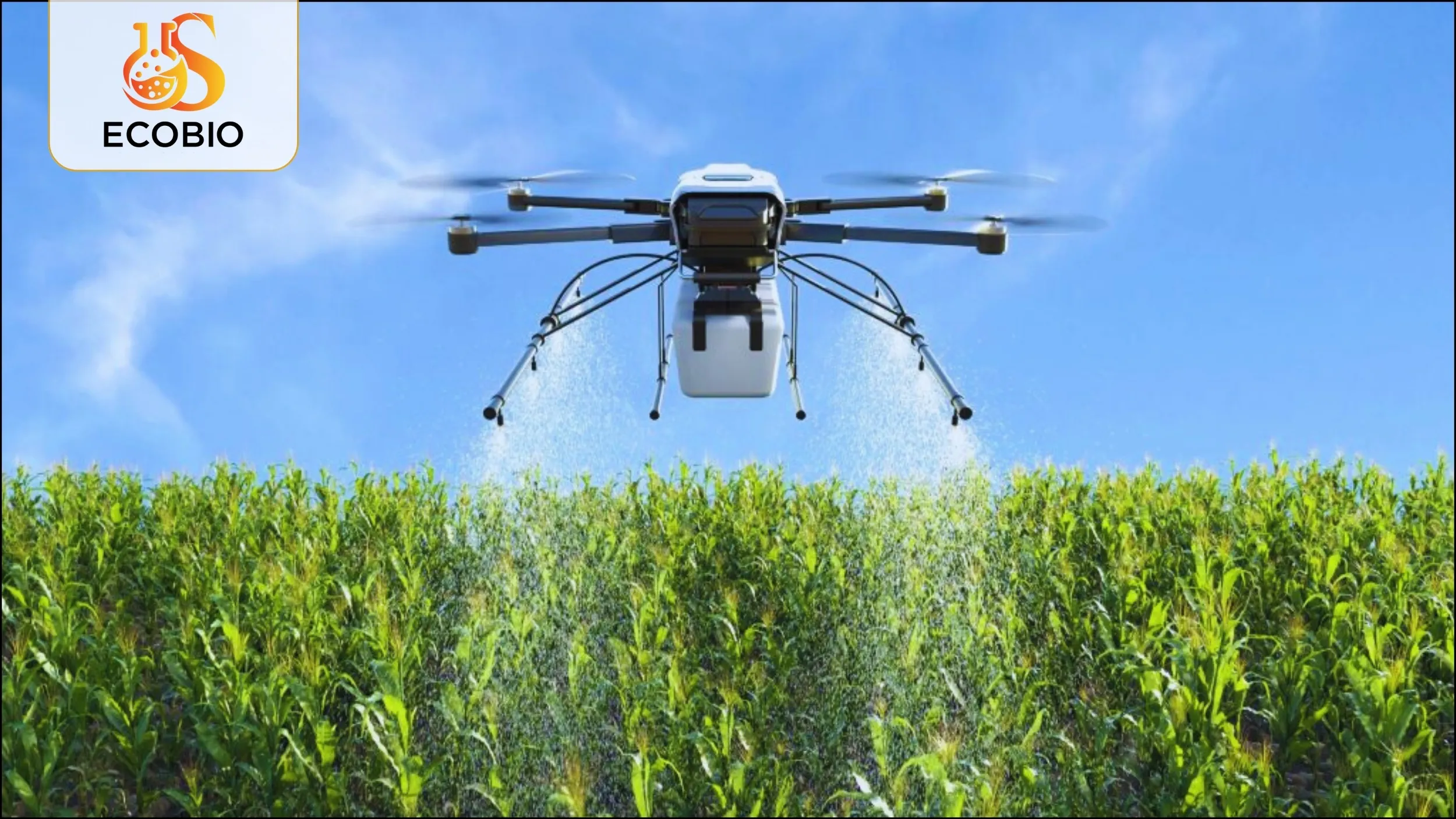 Cách sử dụng thuốc trừ bệnh sinh học hiệu quả