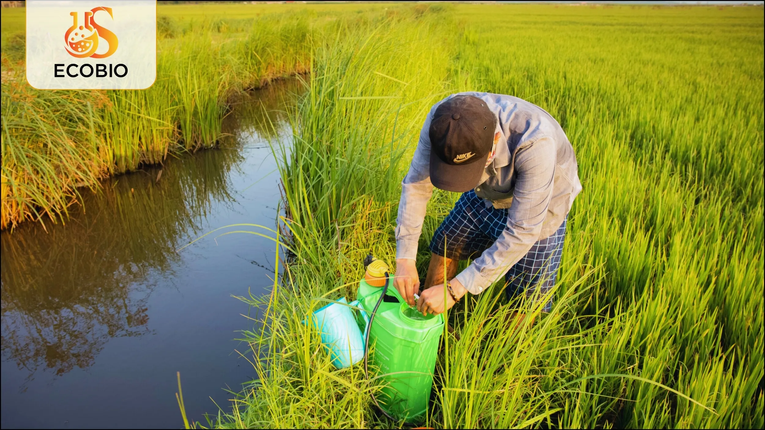 Tầm quan trọng của việc lựa chọn thuốc trừ bệnh sinh học chất lượng