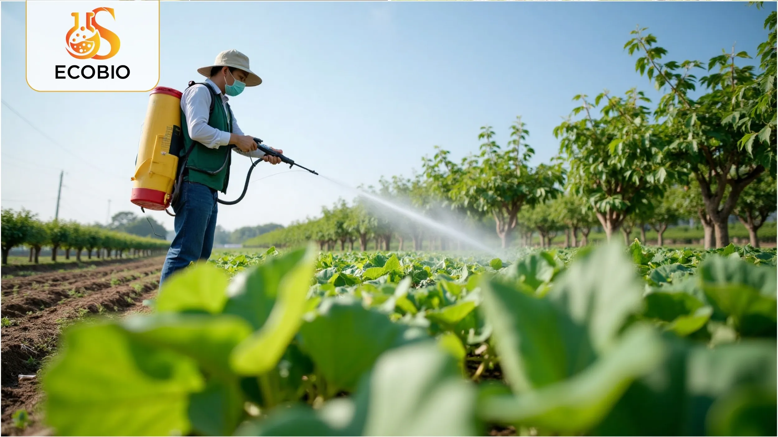 Nhược điểm và lưu ý khi sử dụng thuốc trừ sâu sinh học